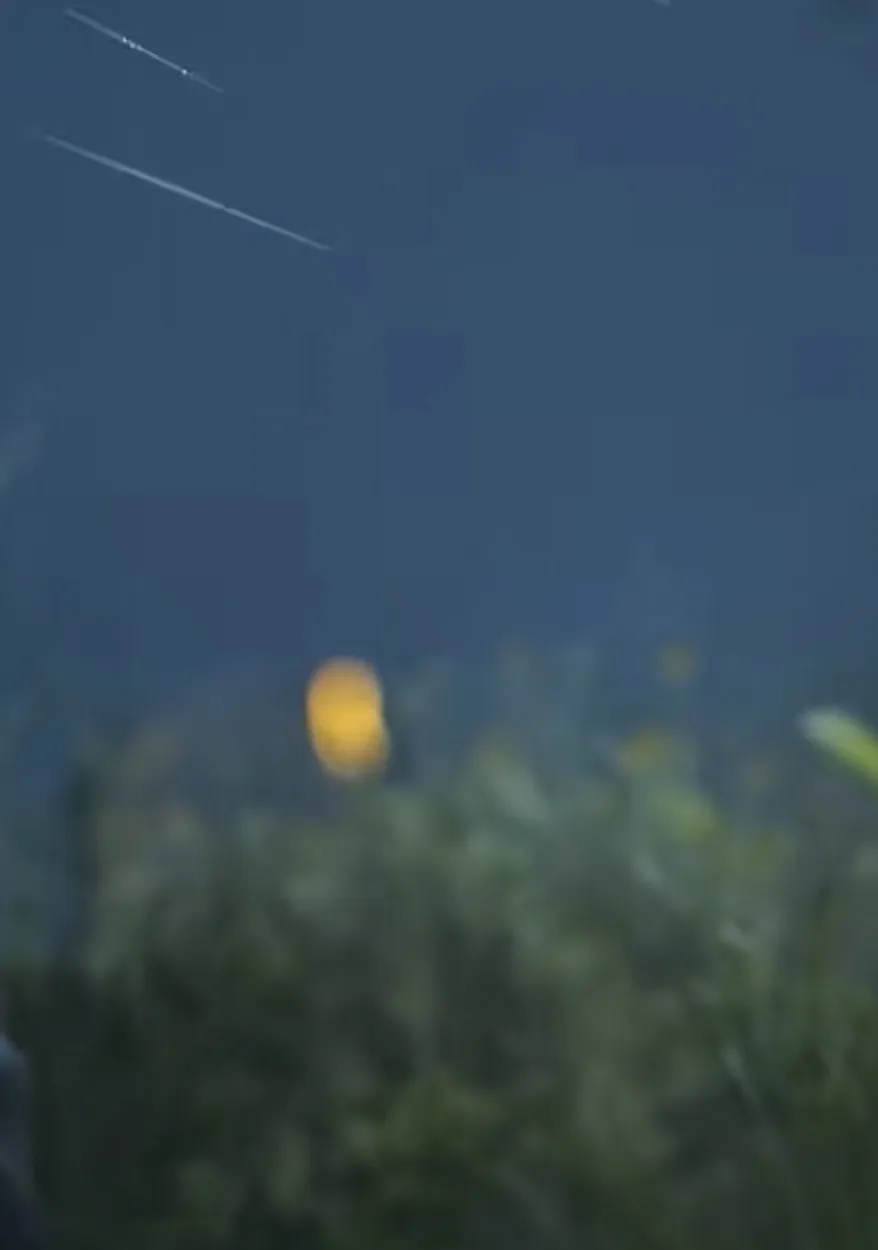 Luz laranja de um novo ARC escondido na vegetação durante o teaser da Shrouded Sky