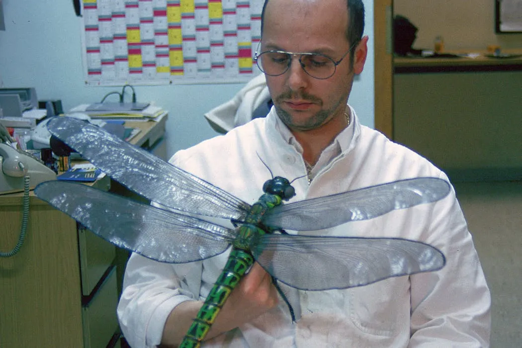 Reconstituição de um griffinfly, inseto pré-histórico gigante do período Carbonífero com envergadura de até 70 centímetros